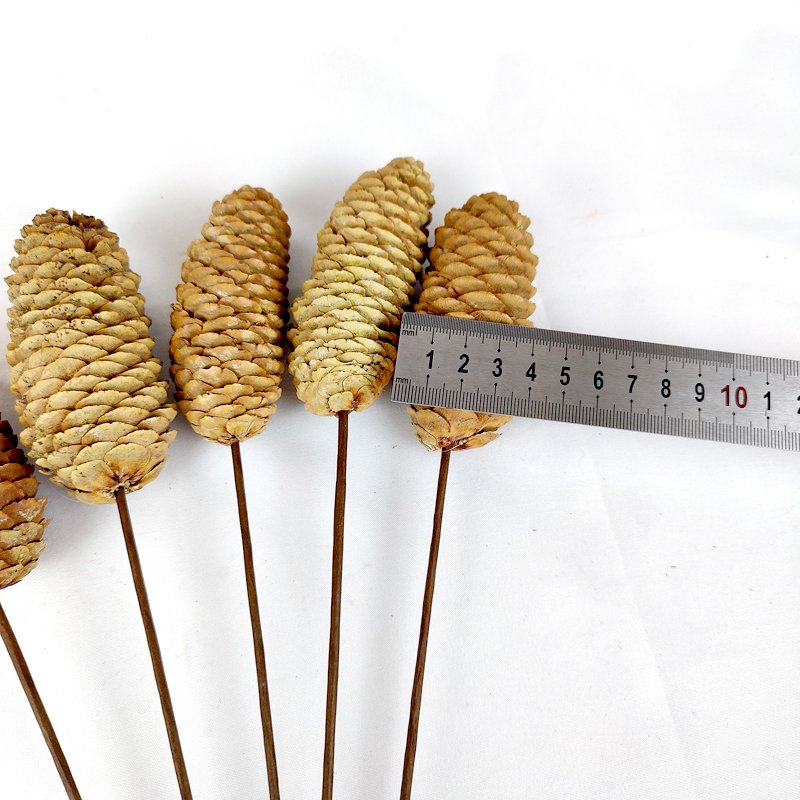 Large Pine Cones Christmas Pine Cones Decorative Christmas Tree Decorations Ornaments Real Natural Dried Pinecones