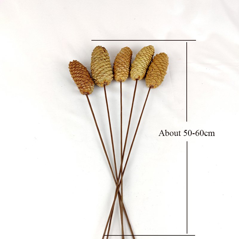 Large Pine Cones Christmas Pine Cones Decorative Christmas Tree Decorations Ornaments Real Natural Dried Pinecones