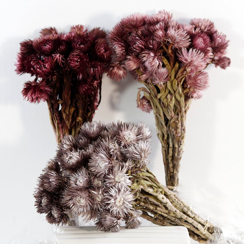 GH-038 wholesale cheap white yunnan real small resin natural rock dry dried flower for decoration