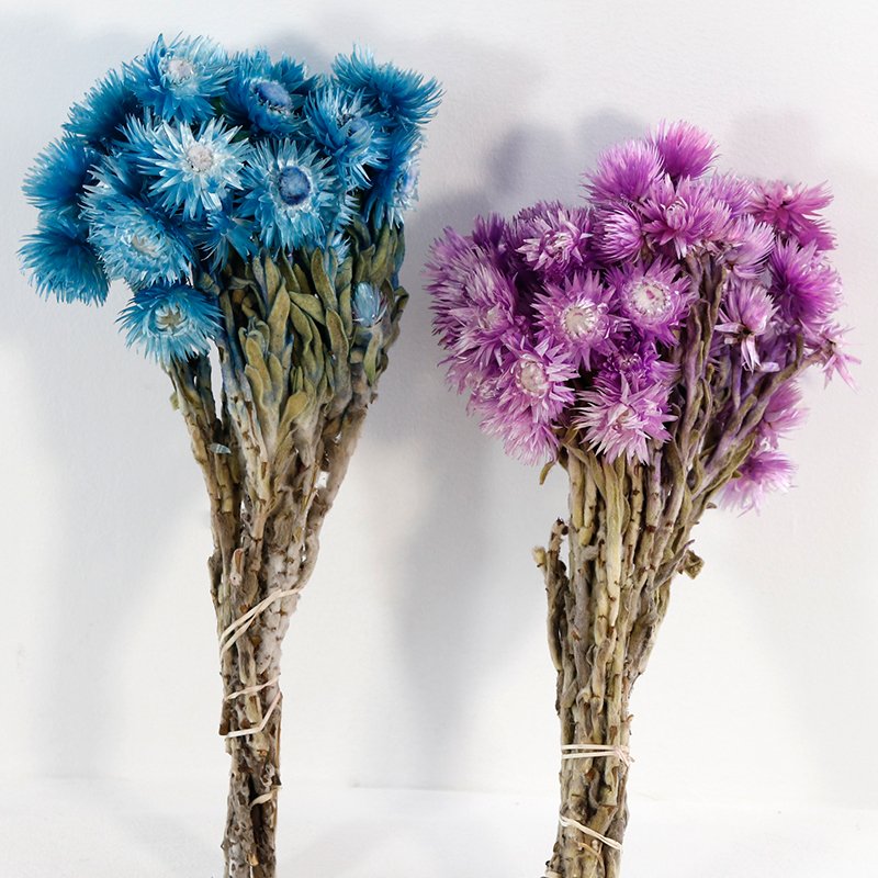 GH-038 wholesale cheap white yunnan real small resin natural rock dry dried flower for decoration