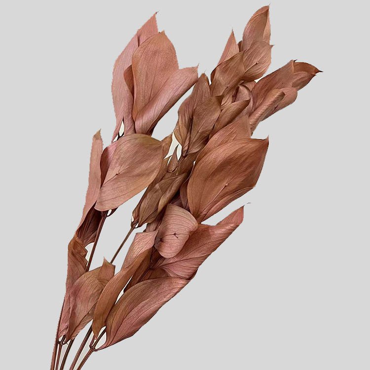 Amazon Hot Selling 2024 Home Decor Preserved Flowers Israeli Ruscus Dried Ruscus For Flower Bouquet