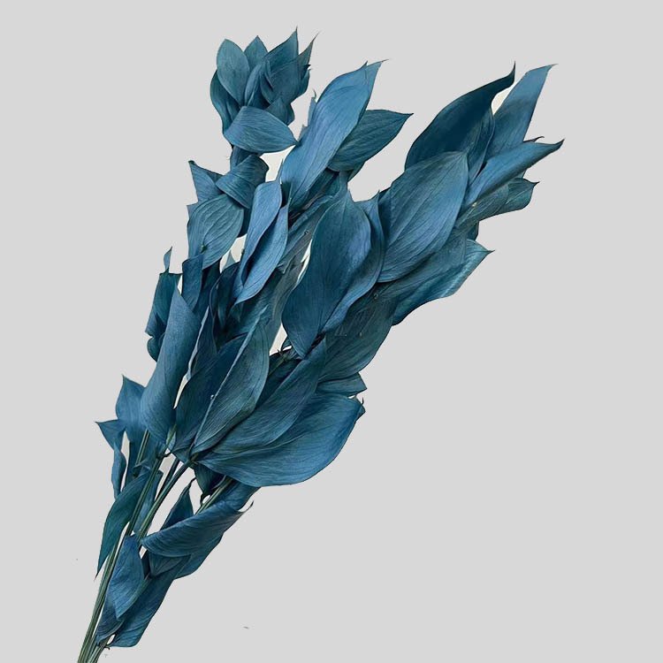 Amazon Hot Selling 2024 Home Decor Preserved Flowers Israeli Ruscus Dried Ruscus For Flower Bouquet