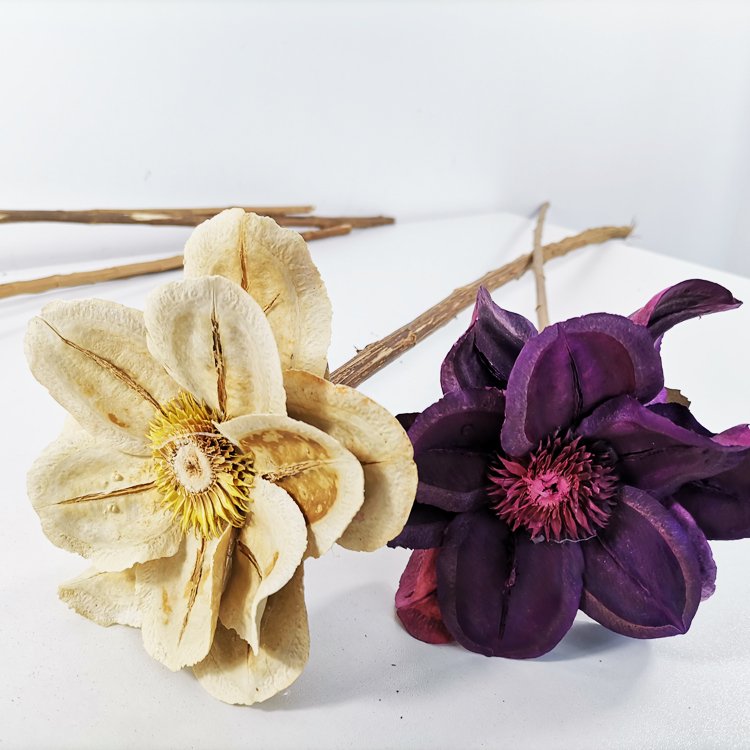 Sumflora Everlasting purple preserved flowers for wedding decoration dried flowers passion flower