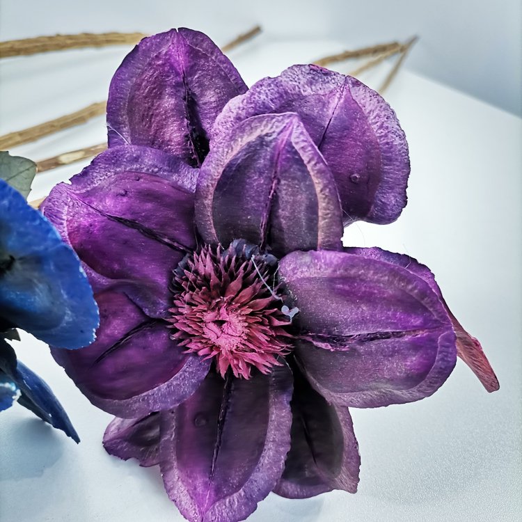 Sumflora Everlasting purple preserved flowers for wedding decoration dried flowers passion flower