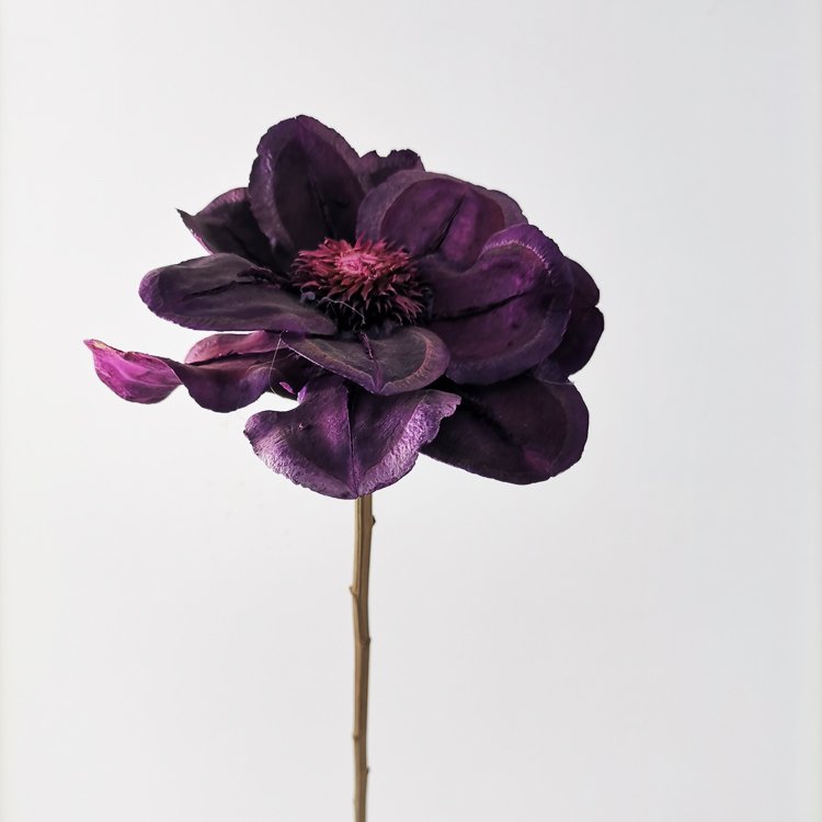 Sumflora Everlasting purple preserved flowers for wedding decoration dried flowers passion flower