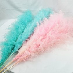 Colorful