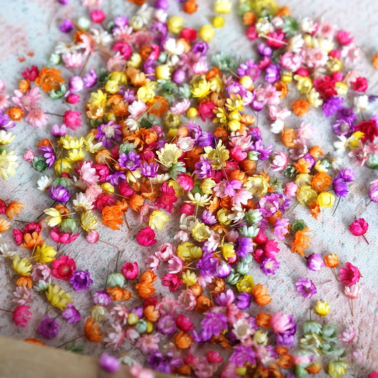 INTODIY New Natural Little Star Flower Head DIY wreath Home Crystal Dropper Filler Wedding Decoration Dry Flower Material