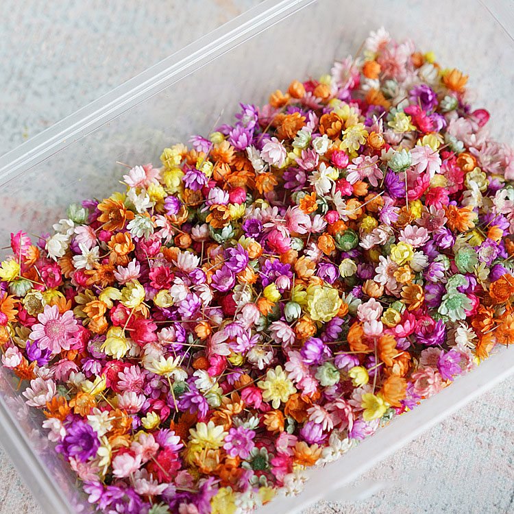 INTODIY New Natural Little Star Flower Head DIY wreath Home Crystal Dropper Filler Wedding Decoration Dry Flower Material