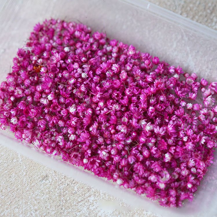 INTODIY New Natural Little Star Flower Head DIY wreath Home Crystal Dropper Filler Wedding Decoration Dry Flower Material