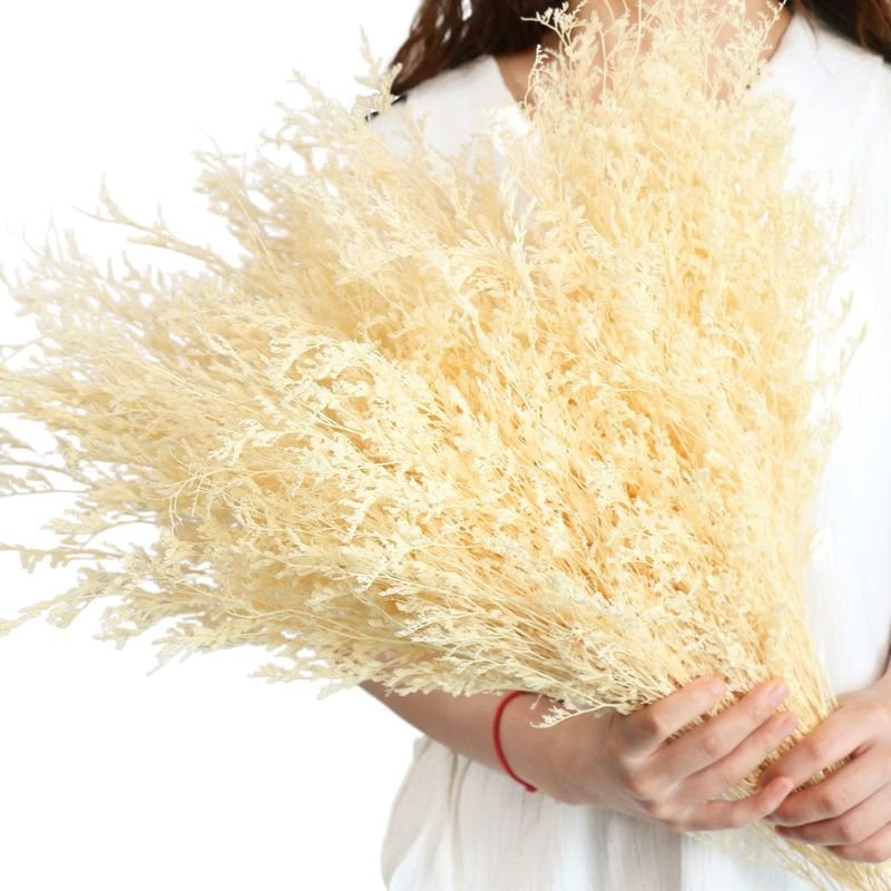 100g Preserved Bleached Limonium Dried Flower Love Grass Dried Limonium Pink Decoration Natural Limonium Grass Blue Statice