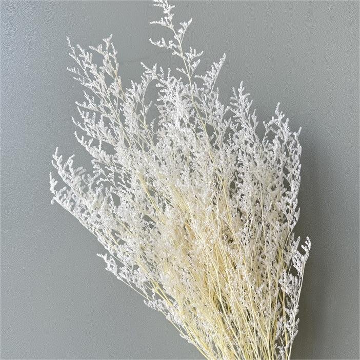 100g Preserved Bleached Limonium Dried Flower Love Grass Dried Limonium Pink Decoration Natural Limonium Grass Blue Statice