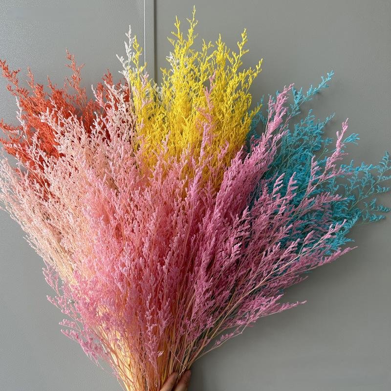 100g Preserved Bleached Limonium Dried Flower Love Grass Dried Limonium Pink Decoration Natural Limonium Grass Blue Statice
