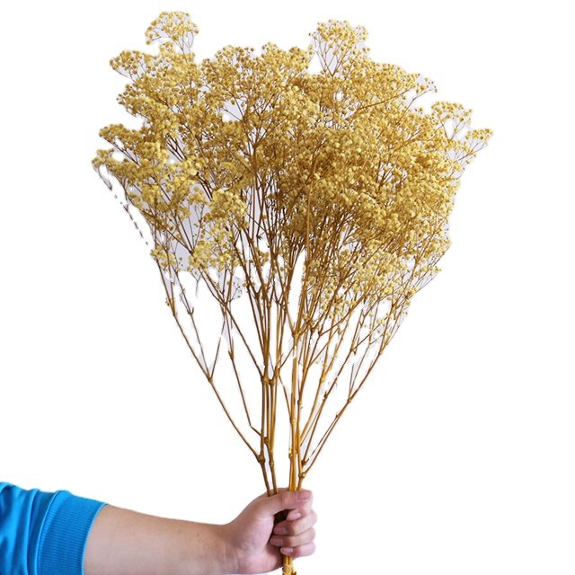 Hot Sale High Quality Dried Baby Breath Gypsophila Flowers Preserved For Home Decorations For Christmas Halloween Easter