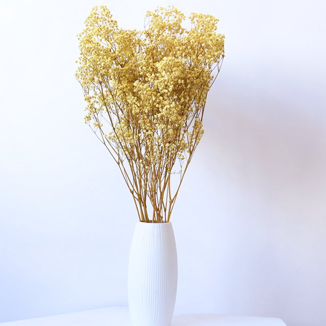 Hot Sale High Quality Dried Baby Breath Gypsophila Flowers Preserved For Home Decorations For Christmas Halloween Easter
