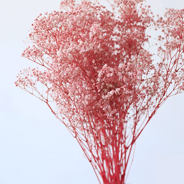 Hot Sale High Quality Dried Baby Breath Gypsophila Flowers Preserved For Home Decorations For Christmas Halloween Easter