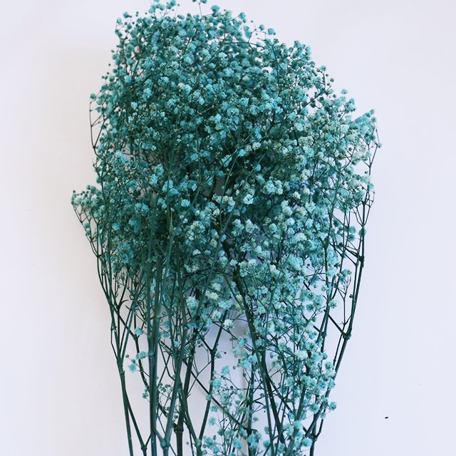 Hot Sale High Quality Dried Baby Breath Gypsophila Flowers Preserved For Home Decorations For Christmas Halloween Easter