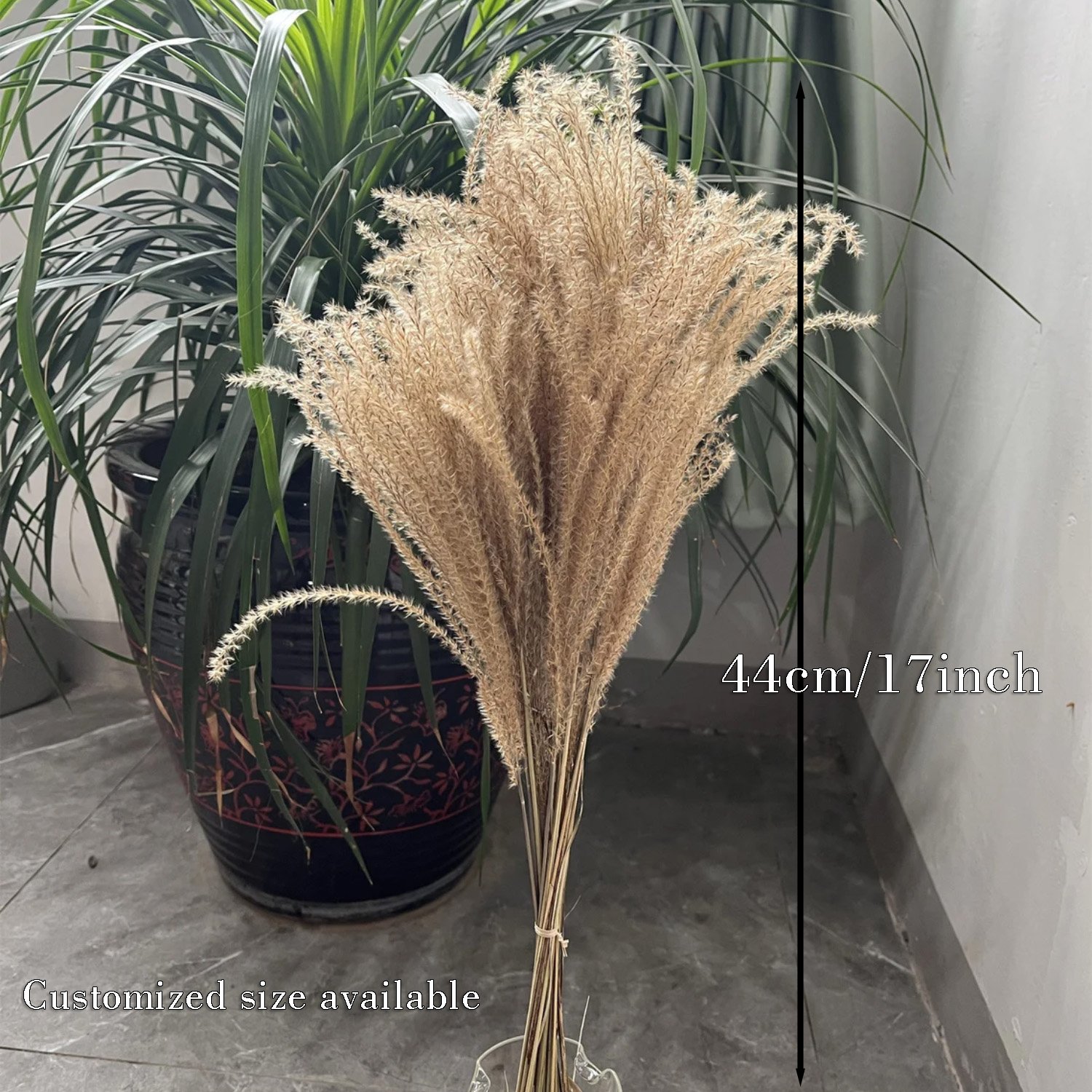 Wholesale Dried Flowers Pampas Grass Natural Pampas For Wedding DecorWisteria Flower