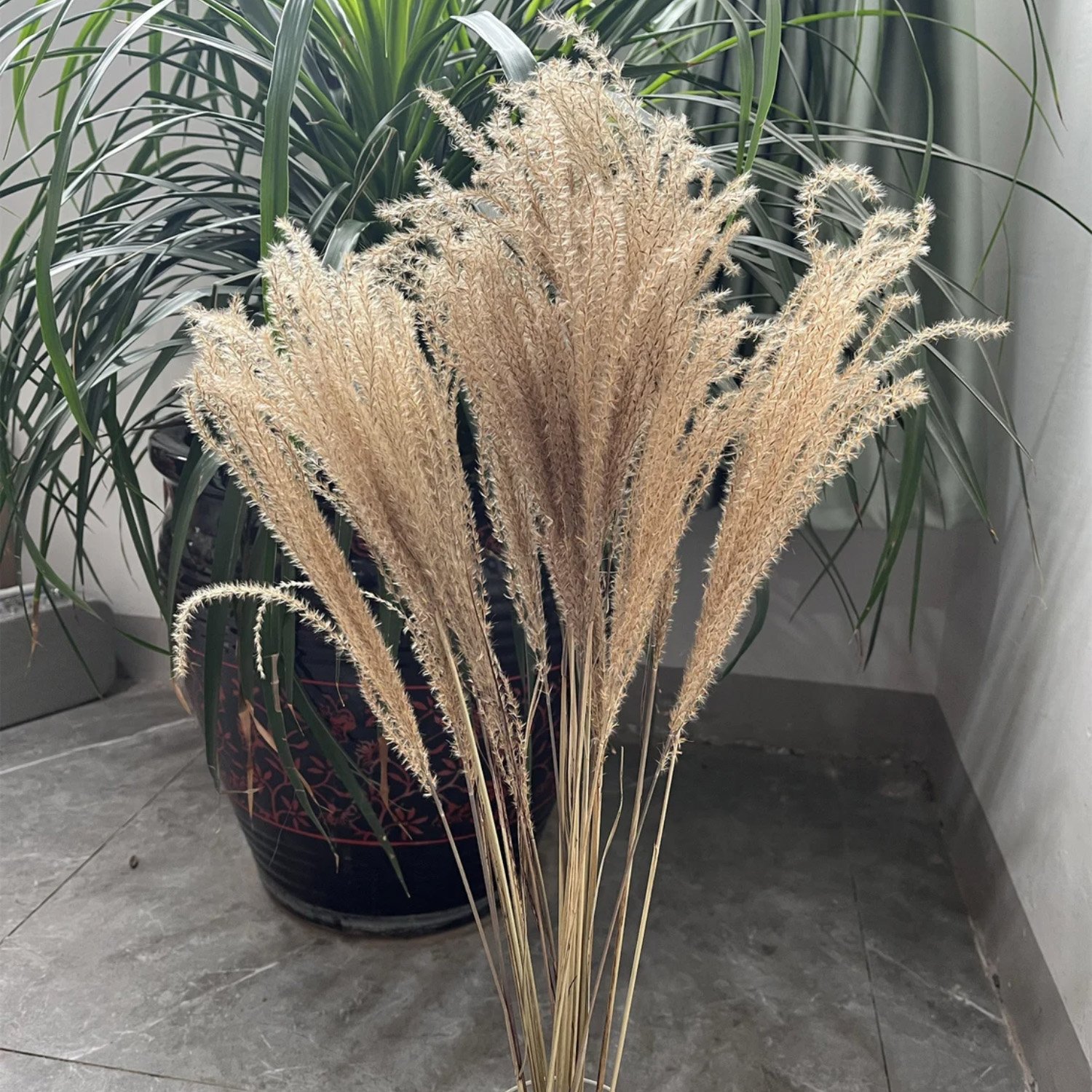 Wholesale Dried Flowers Pampas Grass Natural Pampas For Wedding DecorWisteria Flower