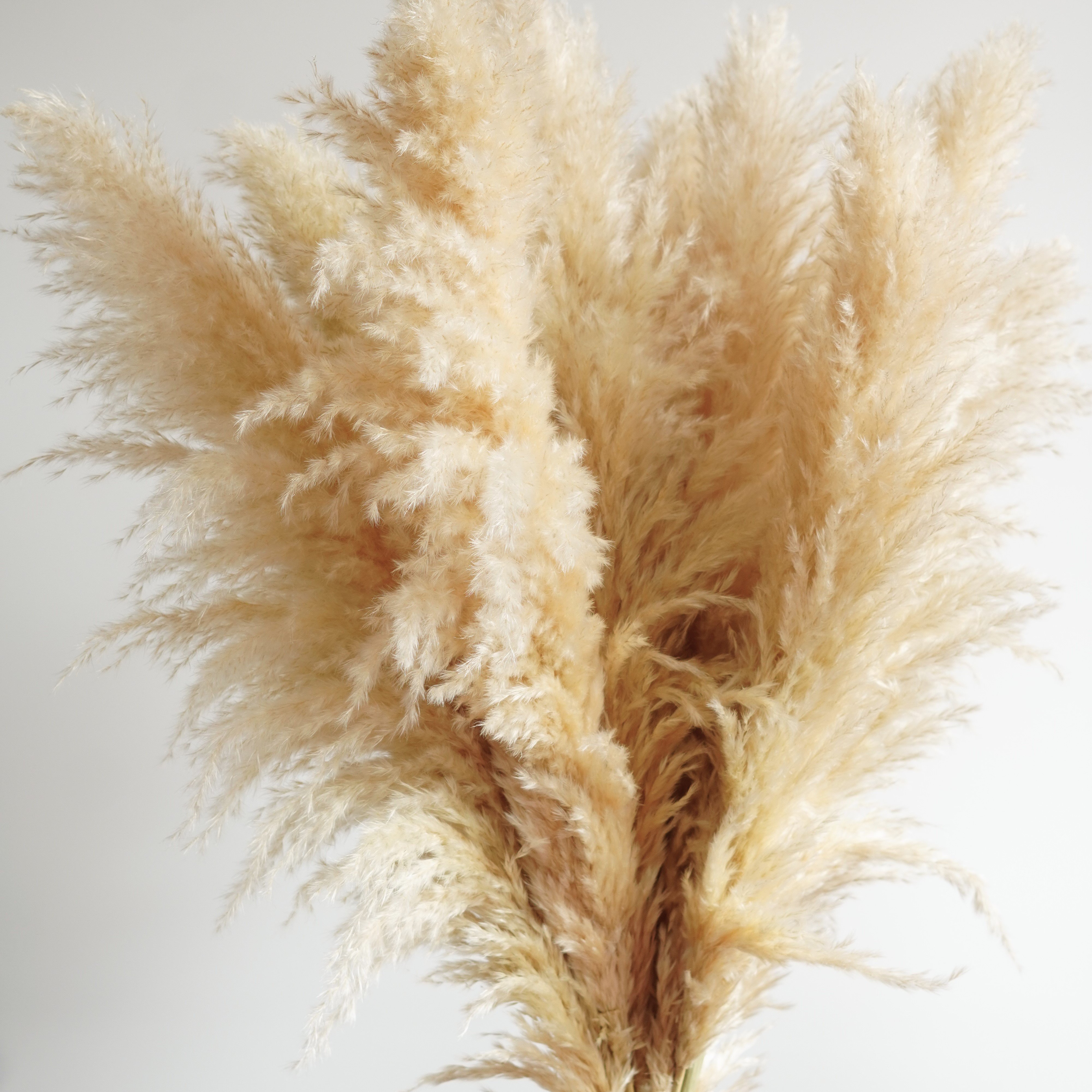 3-4ft | Boho Home Decor Wedding Bouquet | Floral Decorations | Flower Arranging | Pampas Grass