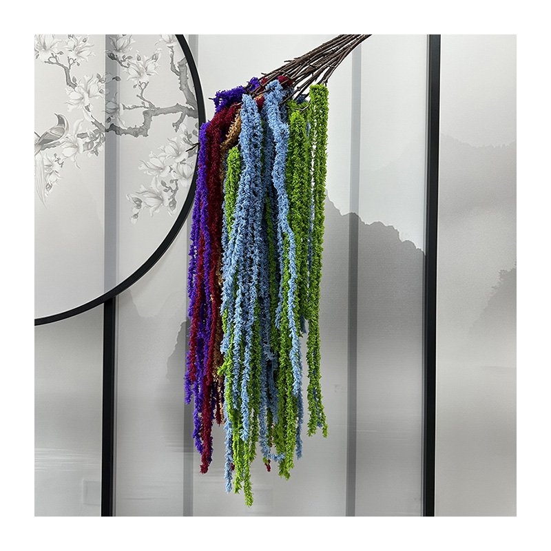 Colorful Amaranthus and Wisteria Hanging Vine Flowers Preserved Bleached for Back-to-School Decor