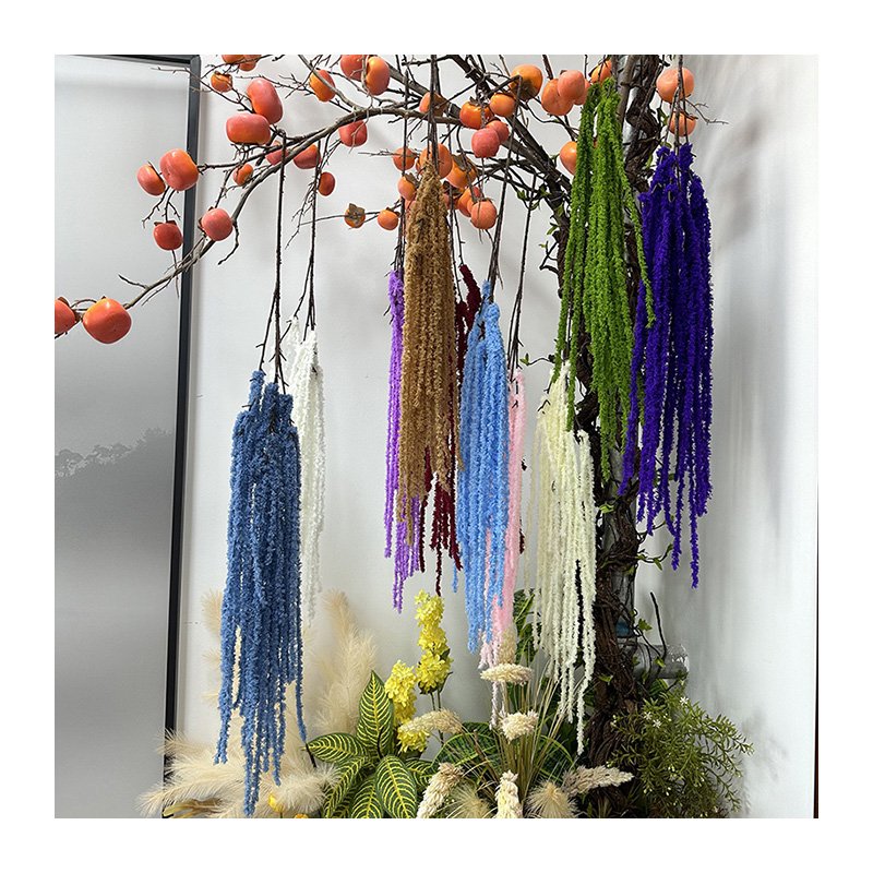 Colorful Amaranthus and Wisteria Hanging Vine Flowers Preserved Bleached for Back-to-School Decor