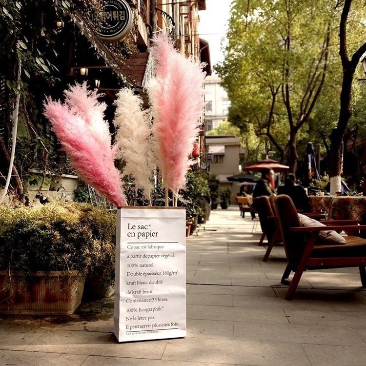 SumFlora 2024 Natural element design dried pampas grass for Craft souvenir wed dress