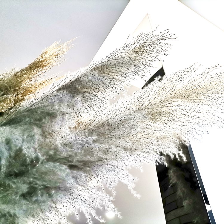SumFlora 2024 Natural element design dried pampas grass for Craft souvenir wed dress