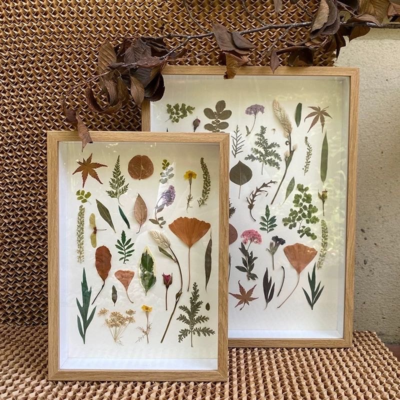 Best Selling Dried Flower DIY Display Case Wood Frame Blank Shadow Box Photo Frames