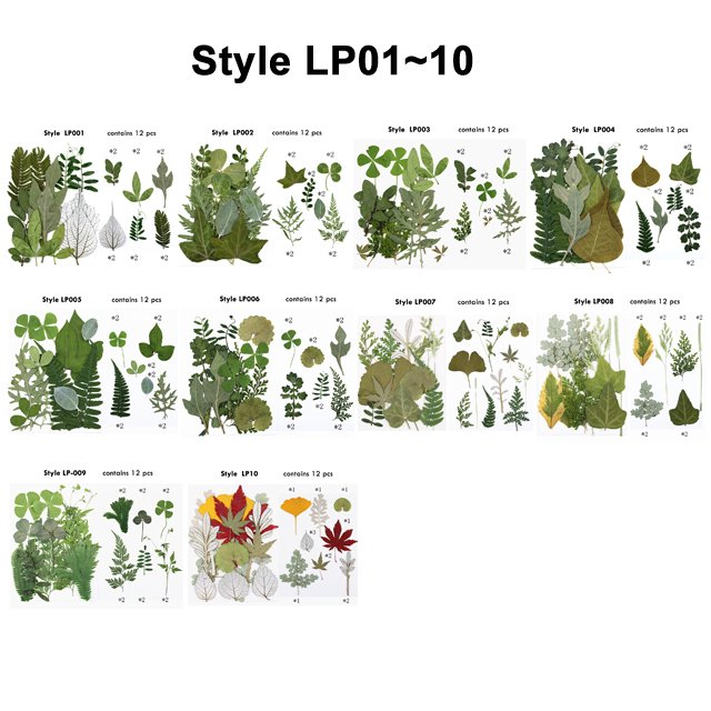 DIY Material Bags Pressed Flower Plants Natural Dried Plants for Resin Phone Cases Hand Fans Bookmarks Pressed