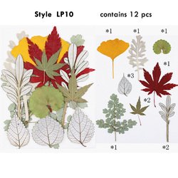 LP10