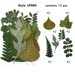 LP04
