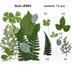 LP05