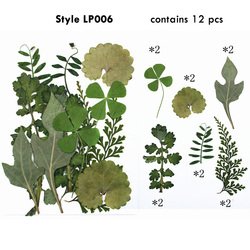 LP06