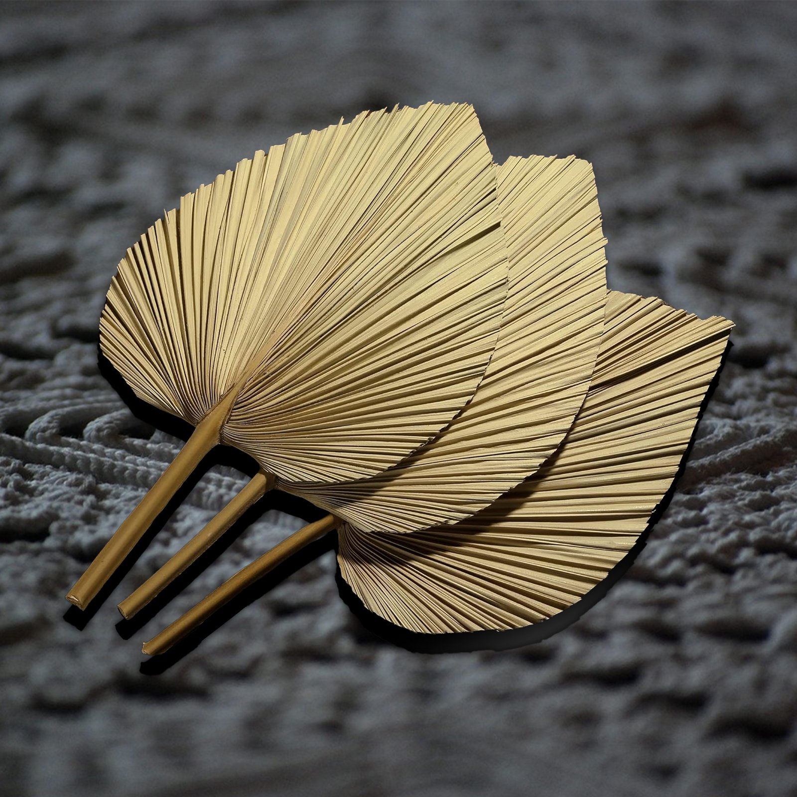 Hot-selling Natural Dried Palm Leaves Decor Boho Palm Fans Tropical Palm Flowers for Wedding House Party Kitchen Decor