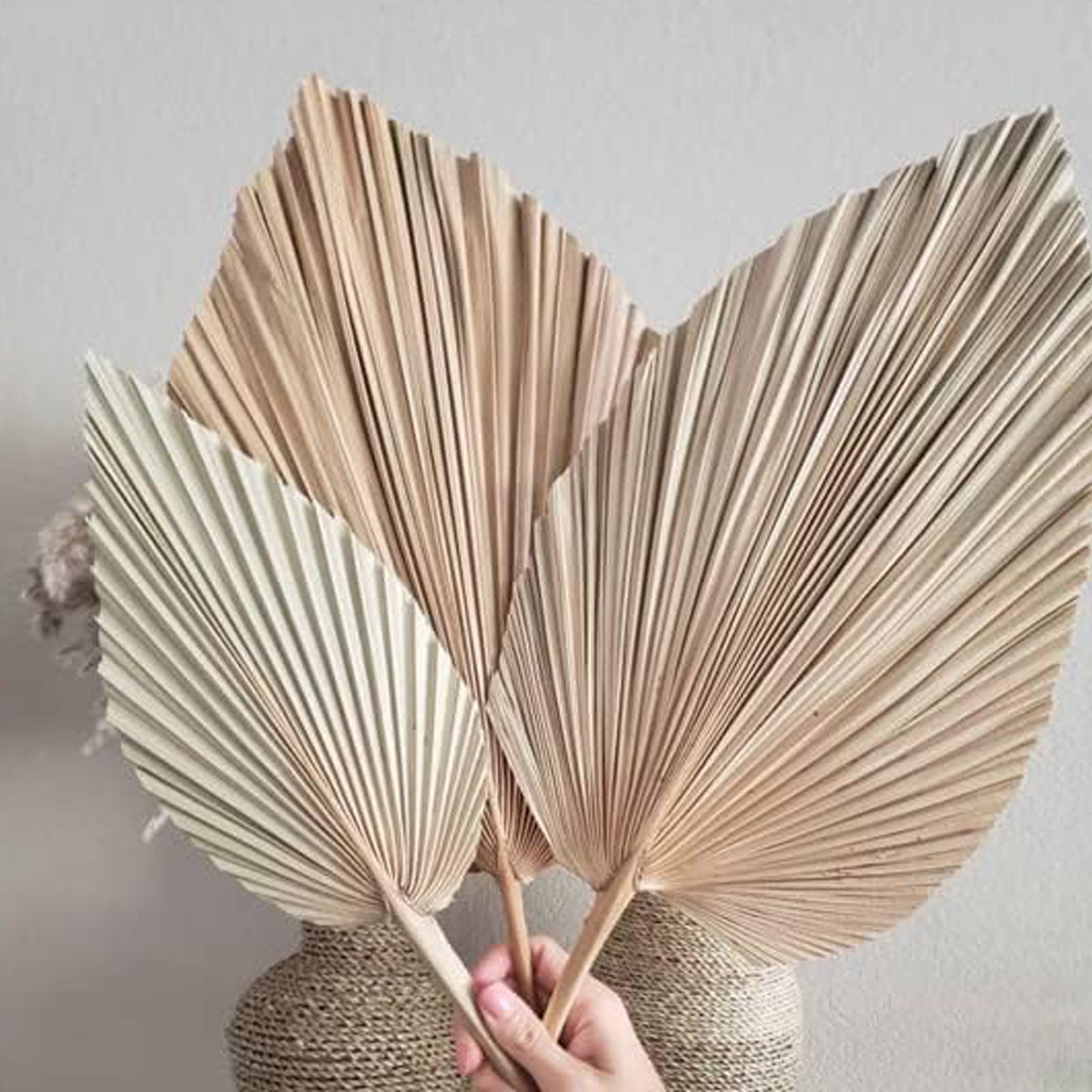 Hot-selling Natural Dried Palm Leaves Decor Boho Palm Fans Tropical Palm Flowers for Wedding House Party Kitchen Decor