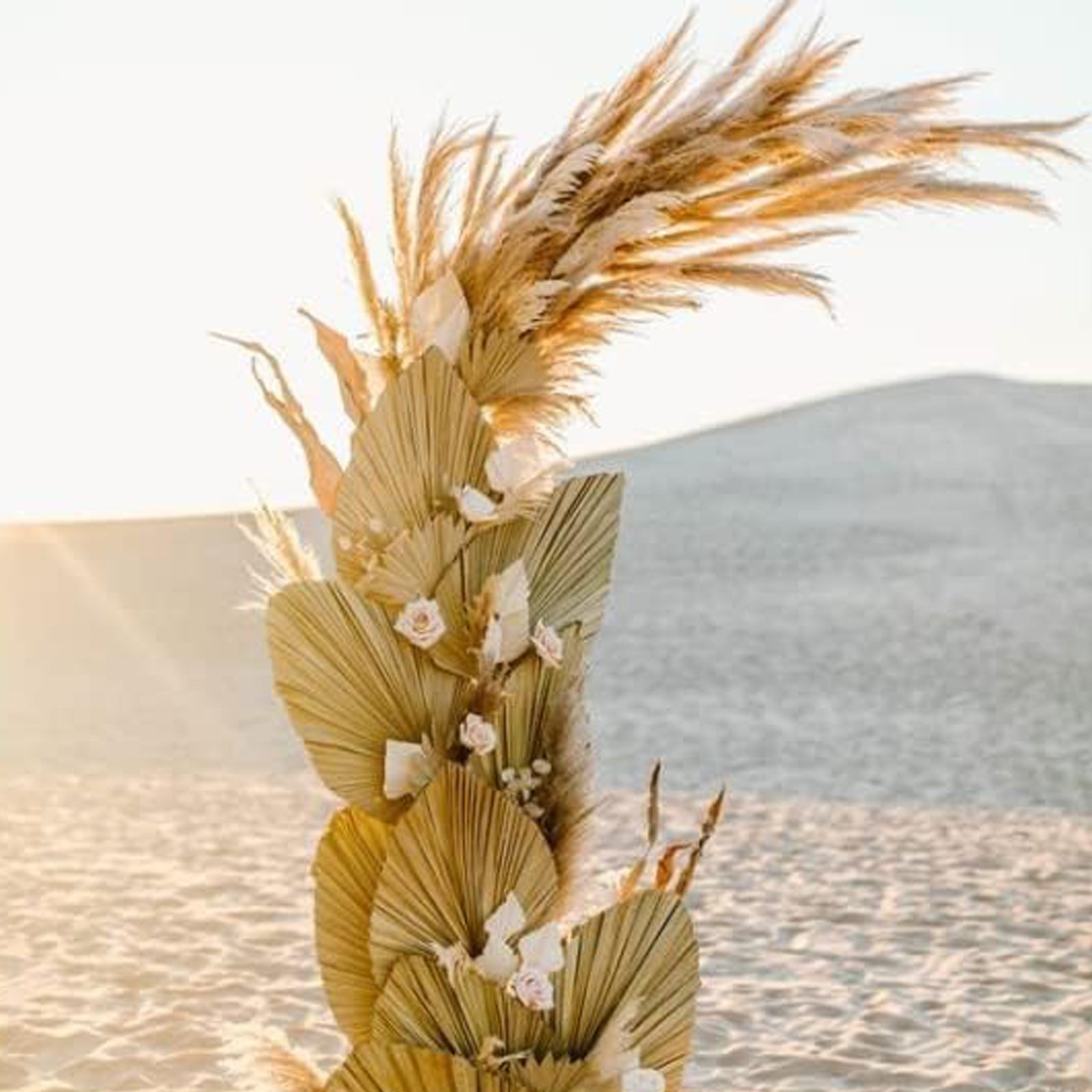 Hot-selling Natural Dried Palm Leaves Decor Boho Palm Fans Tropical Palm Flowers for Wedding House Party Kitchen Decor