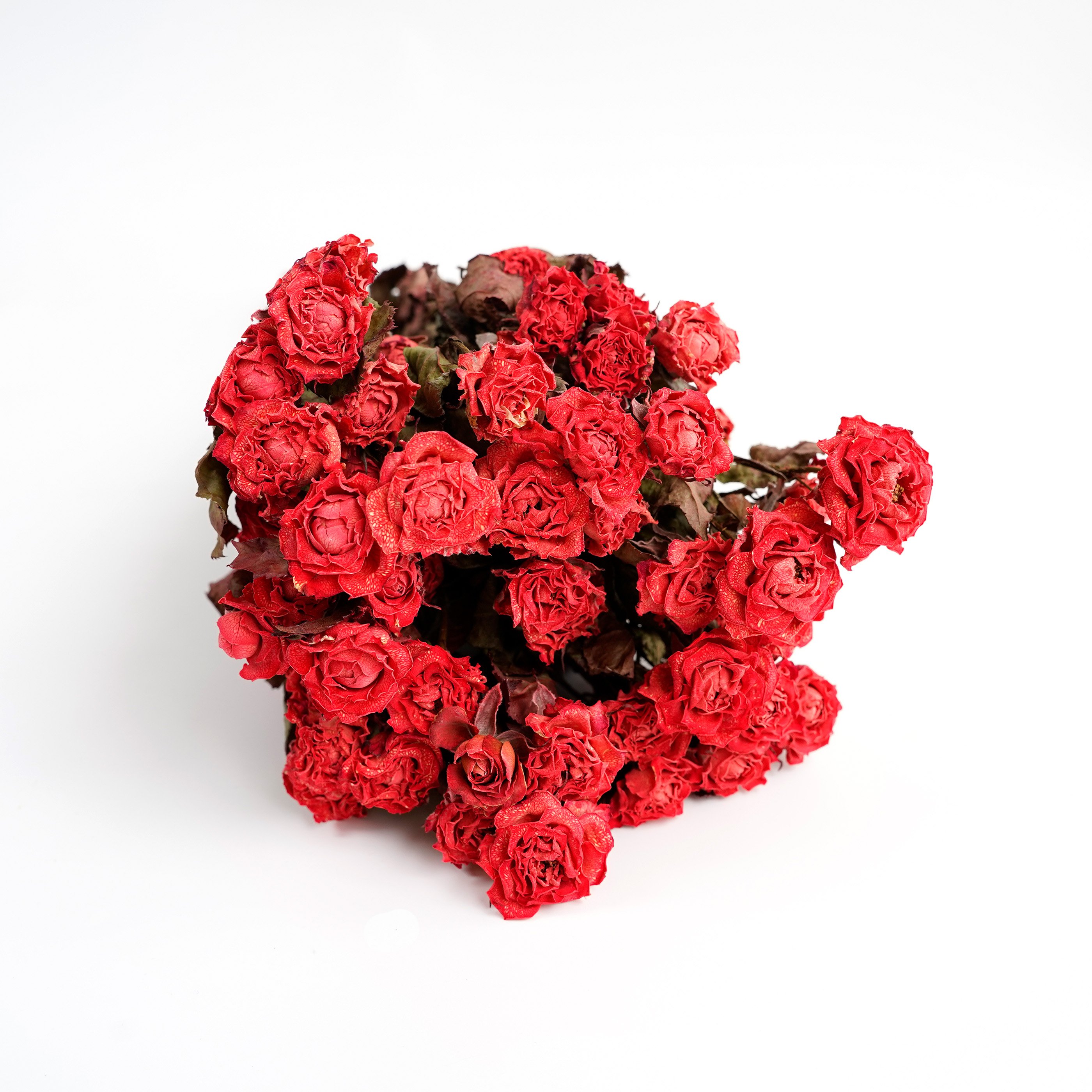 Manufacturer Natural Dried Flower Dried Rose Bouquet Dried Roses For Home Party Wedding Decoration