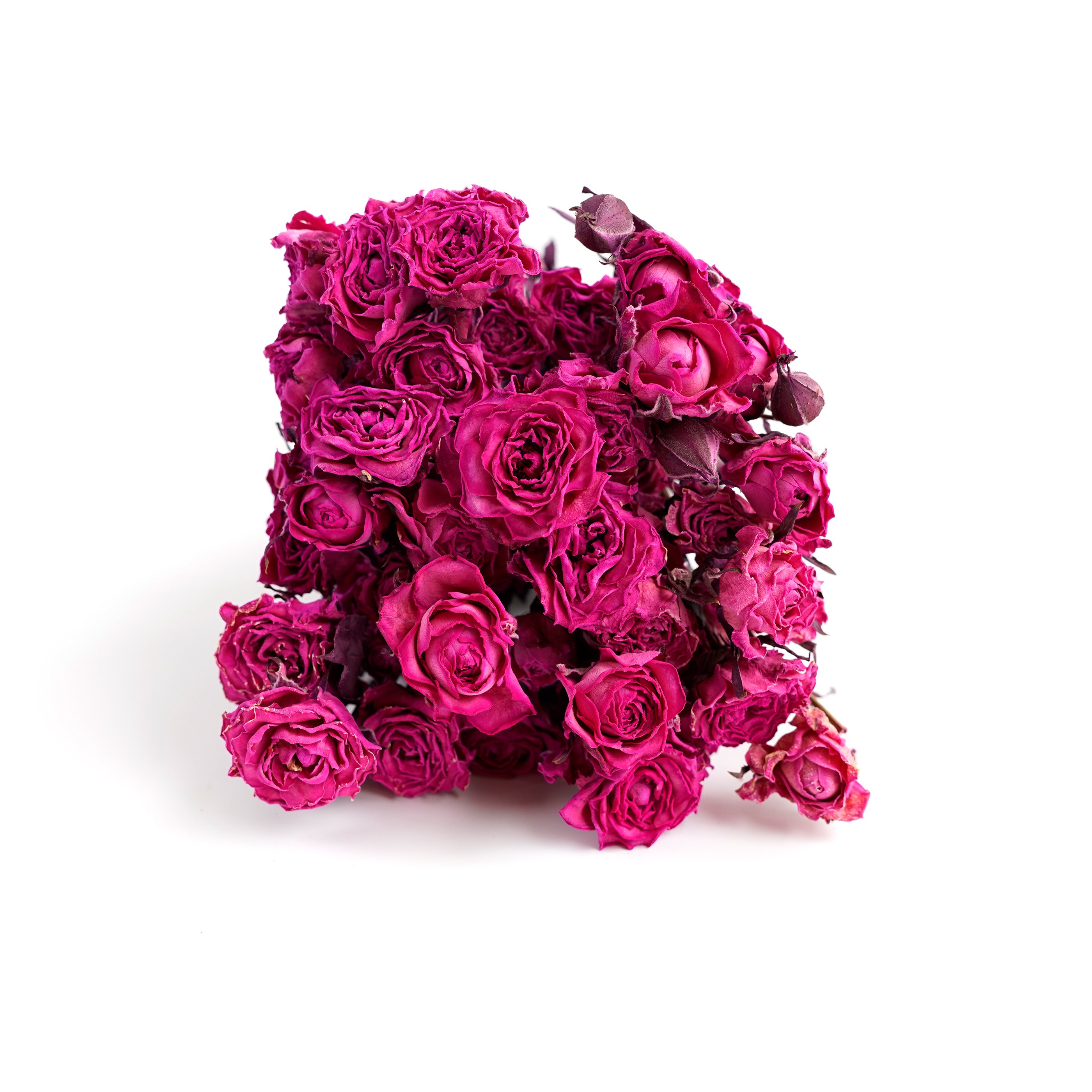 Manufacturer Natural Dried Flower Dried Rose Bouquet Dried Roses For Home Party Wedding Decoration