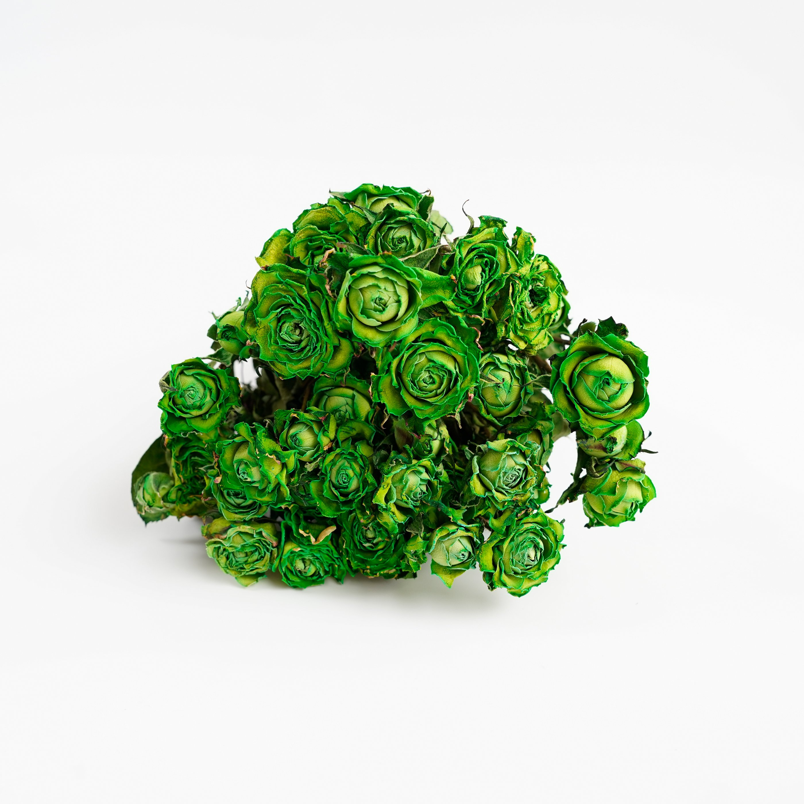 Manufacturer Natural Dried Flower Dried Rose Bouquet Dried Roses For Home Party Wedding Decoration