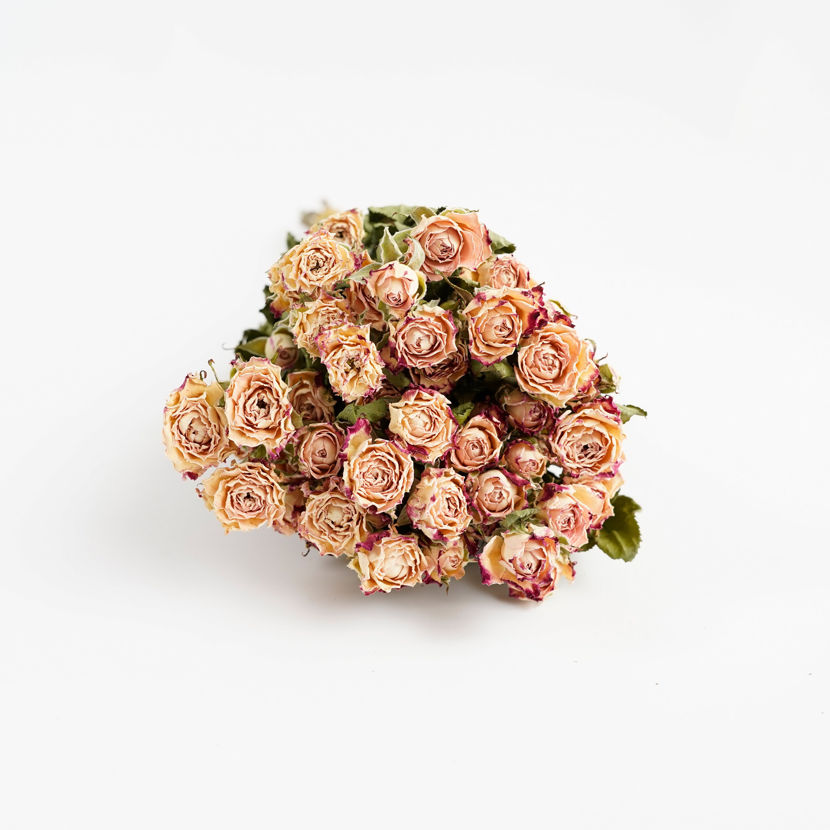 Manufacturer Natural Dried Flower Dried Rose Bouquet Dried Roses For Home Party Wedding Decoration
