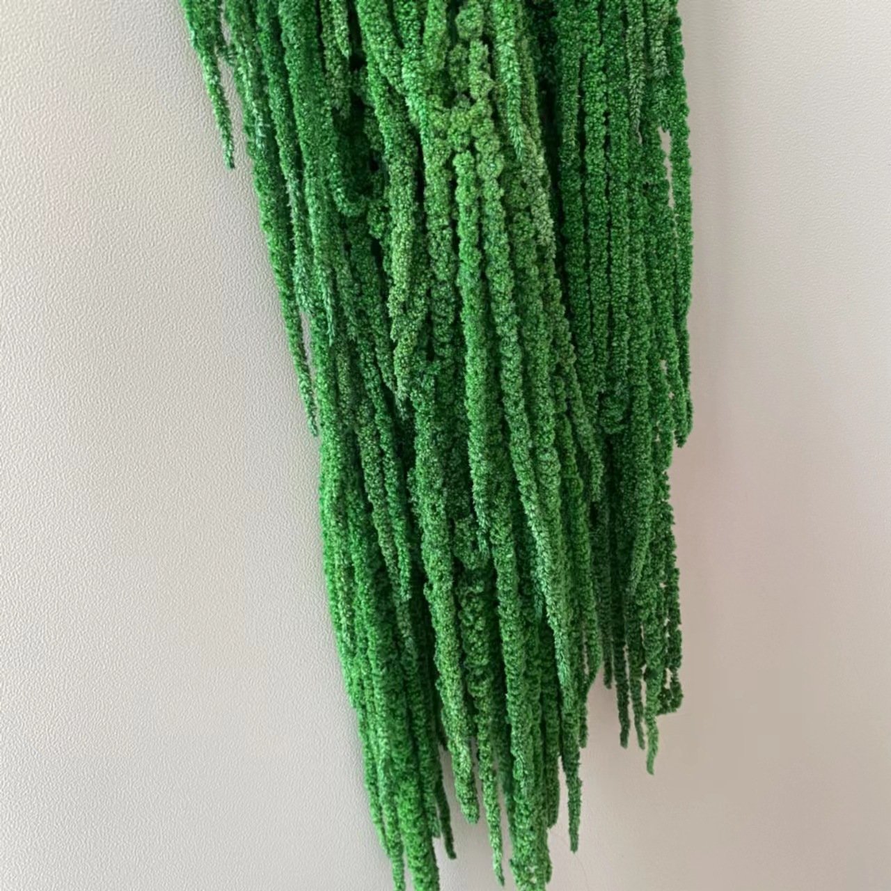 preserved Amaranthus dried flowers and plants home Other Wedding decoration events party supplies