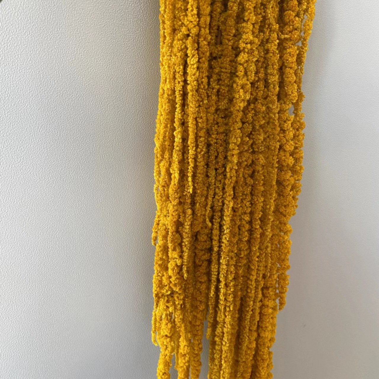 preserved Amaranthus dried flowers and plants home Other Wedding decoration events party supplies