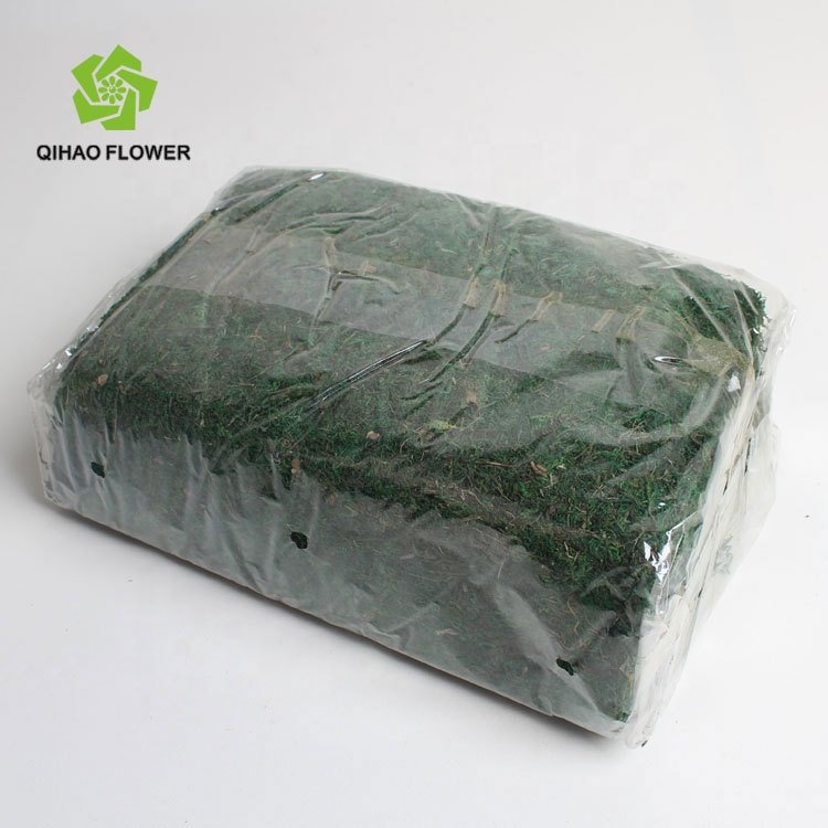 QiHao high quality sponge mud 300g artificial dried green moss for decoration