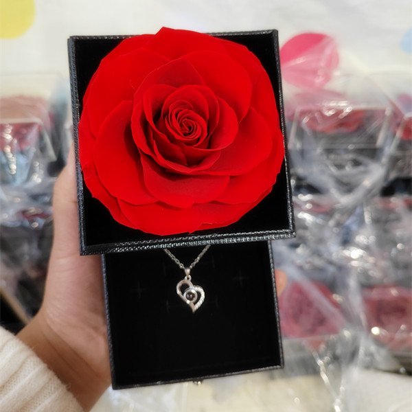 Valentines day gift red dried everlasting forever eternal rose jewelry box preserved flowers with jewelry box eternal rose