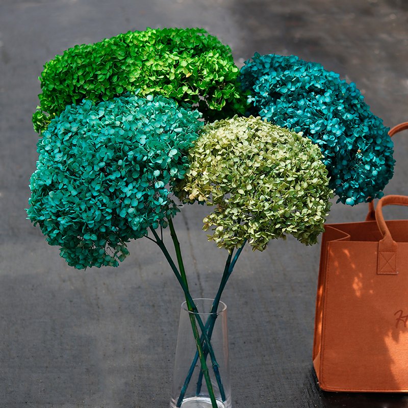 GH-048 wholesale blush pink natural real touch preserved hydrangeas dried flowers plants decoration