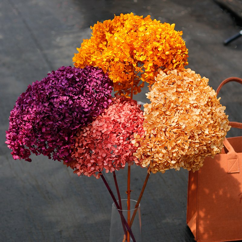 GH-048 wholesale blush pink natural real touch preserved hydrangeas dried flowers plants decoration