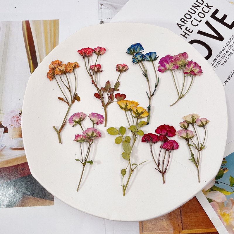 DIY creative resin crafts decorative Real Dried side Pressed Rose with brunch for resin crafts
