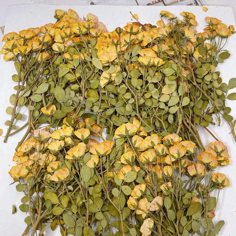 DIY creative resin crafts decorative Real Dried side Pressed Rose with brunch for resin crafts