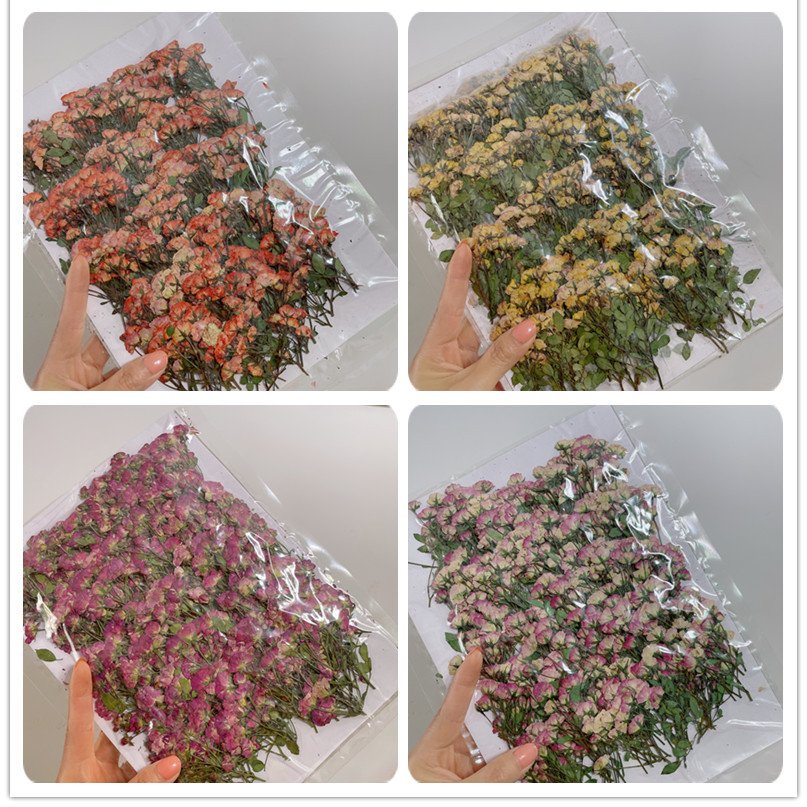 DIY creative resin crafts decorative Real Dried side Pressed Rose with brunch for resin crafts