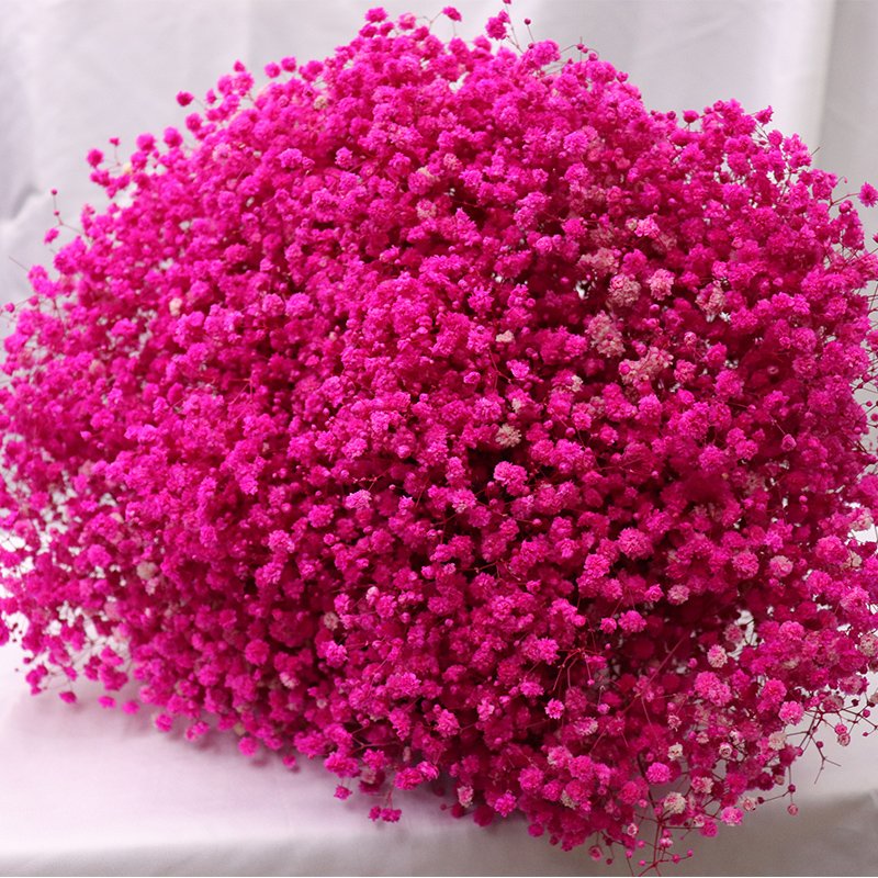 Yunnan Preserved Flower Trade Dried Flowers Baby Breath Preserved Flowers Preserved Baby Breath for Wedding Office Decor Gifts